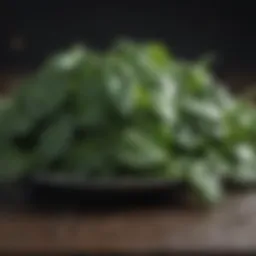 Fresh spinach leaves rich in iron