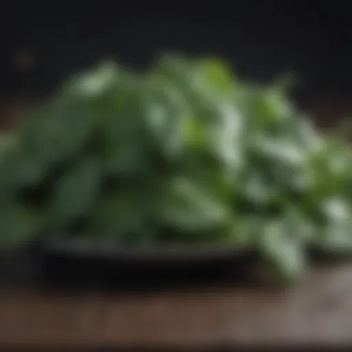 Fresh spinach leaves rich in iron