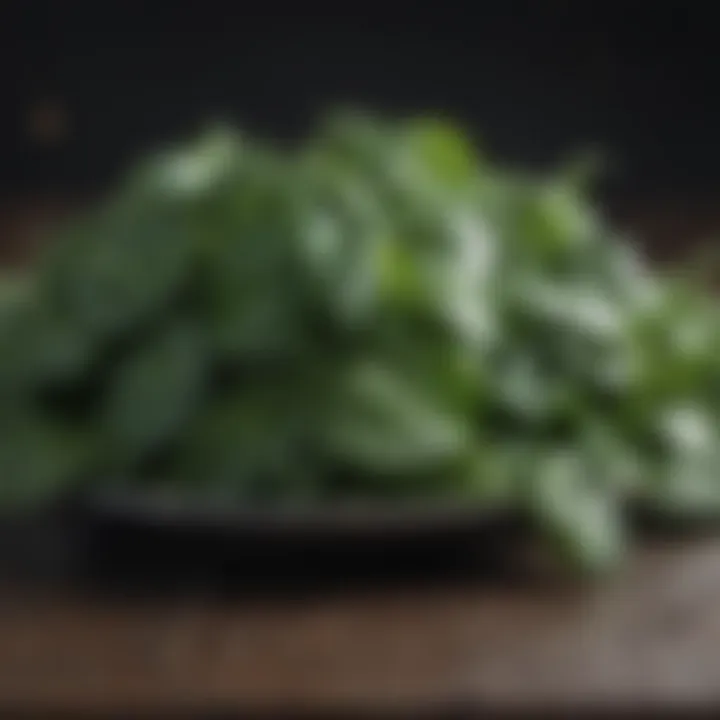Fresh spinach leaves rich in iron