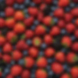 A vibrant array of berries showcasing the diversity of keto-friendly fruits
