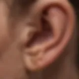 Visual representation of ear anatomy highlighting earwax buildup.