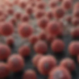 Illustration depicting microscopic view of STI pathogens