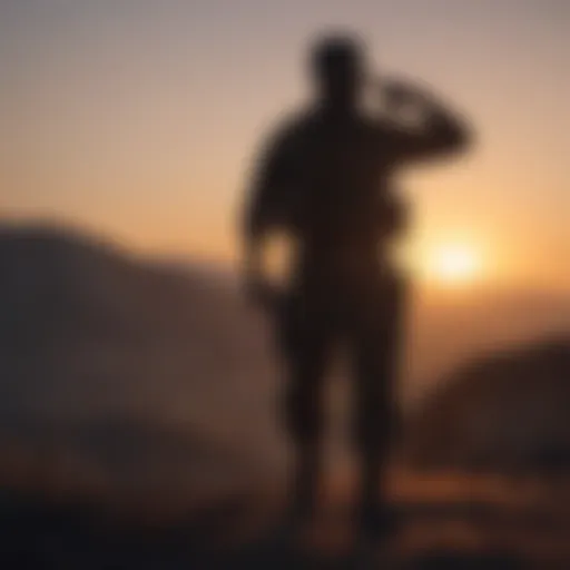 Silhouette of a soldier training at sunrise