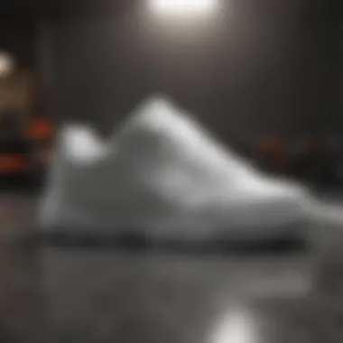 Minimalistic Walmart Sneaker in Monochrome Color