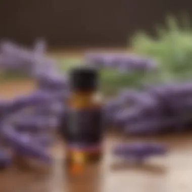 Soothing Lavender Essential Oil Soothing Lavender Essential Oil