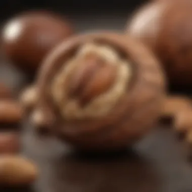 Nutrient-Rich Nuts for Biotin Nutrient-Rich Nuts for Biotin