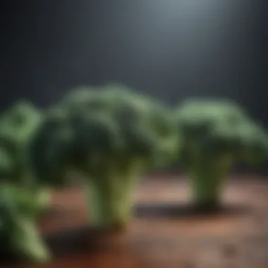 Nutrient-Dense Cruciferous Broccoli Florets