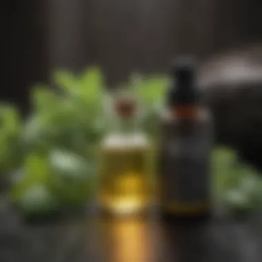 Antioxidant Rich Oregano Oil