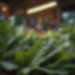 Green Leafy Vegetables