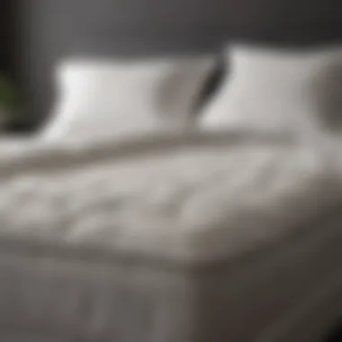 Discover Plush Down Alternative Bed Topper Plush Down Alternative Bed Topper