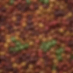 A colorful assortment of beans and legumes showcasing their rich textures and colors.