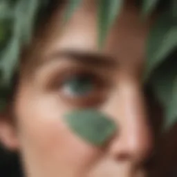 Aromatic Eucalyptus Leaves