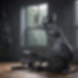 Sleek elliptical machine design for modern fitness enthusiasts