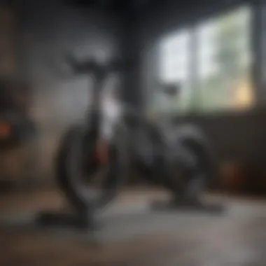 Sleek and Innovative Studio Bike for Home Fitness Enthusiasts