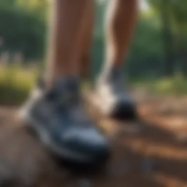 A scenic outdoor trail representing various terrains for running.
