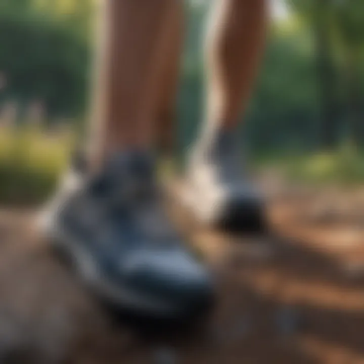 A scenic outdoor trail representing various terrains for running.