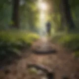 A serene landscape illustrating the joy of walking outdoors