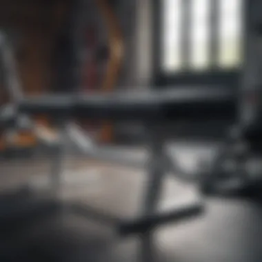 Ergonomic Gym Bench Features Ergonomic gym bench features