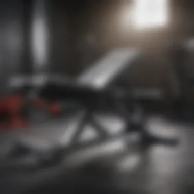 Versatile Adjustable Gym Bench Angles Versatile adjustable gym bench angles