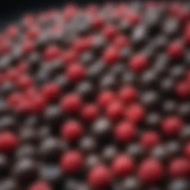Colorful berries and dark chocolate