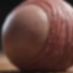 Anatomy of the testicular region highlighting pain points