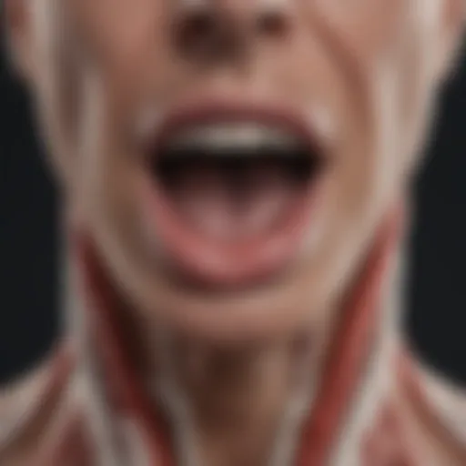 Close-up of a throat diagram highlighting irritation areas