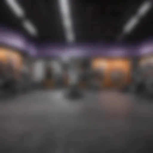 Visual representation of Anytime Fitness logo and gym environment