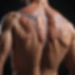Anatomical diagram highlighting the back deltoid muscle and surrounding structures