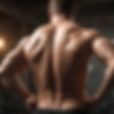 Chart showing common back pain causes from lifting