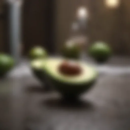 Avocado as a source of healthy fats