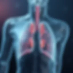 Illustration depicting the respiratory system and mucus production