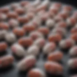 Diverse probiotic strains represented in capsules