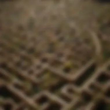 Maze symbolizing the complexity of intense dream interpretation