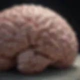 Illustration of brain waves during deep sleep