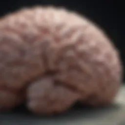 Illustration of brain waves during deep sleep