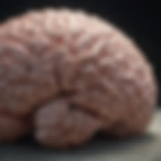 Illustration of brain waves during deep sleep