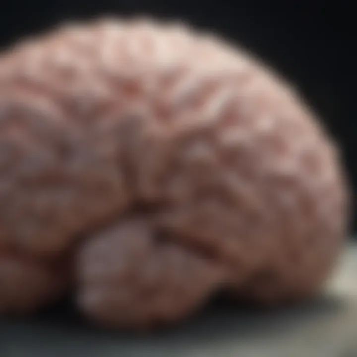 Illustration of brain waves during deep sleep
