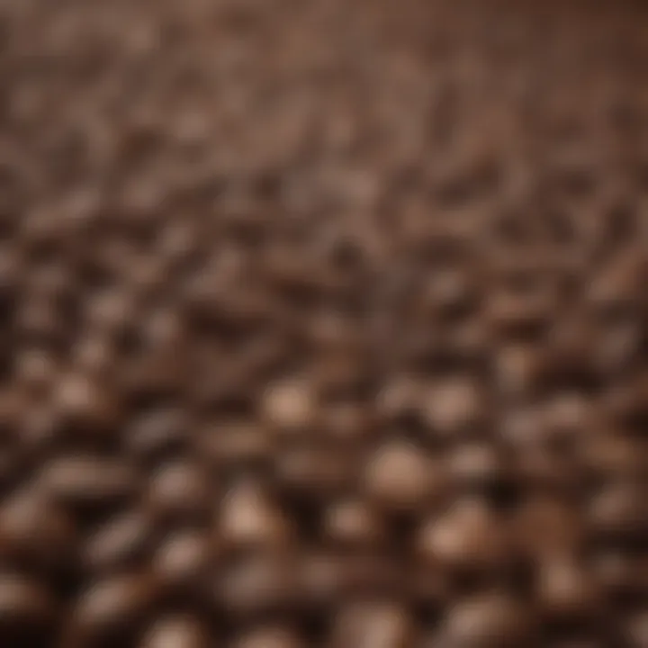 Variety of coffee beans from different regions