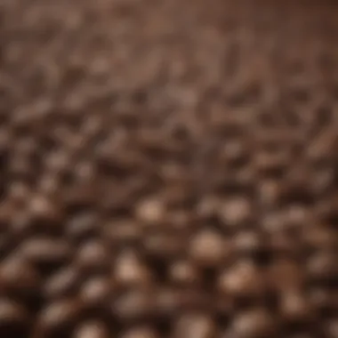Diverse Range of Coffee Beans from Various Origins Variety of coffee beans from different regions