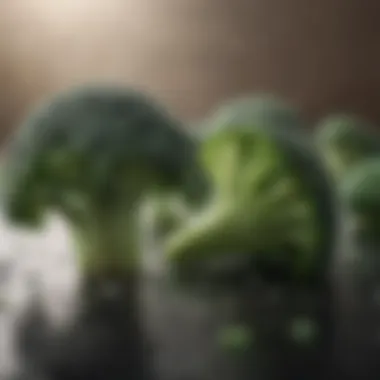 Fresh broccoli florets with water droplets