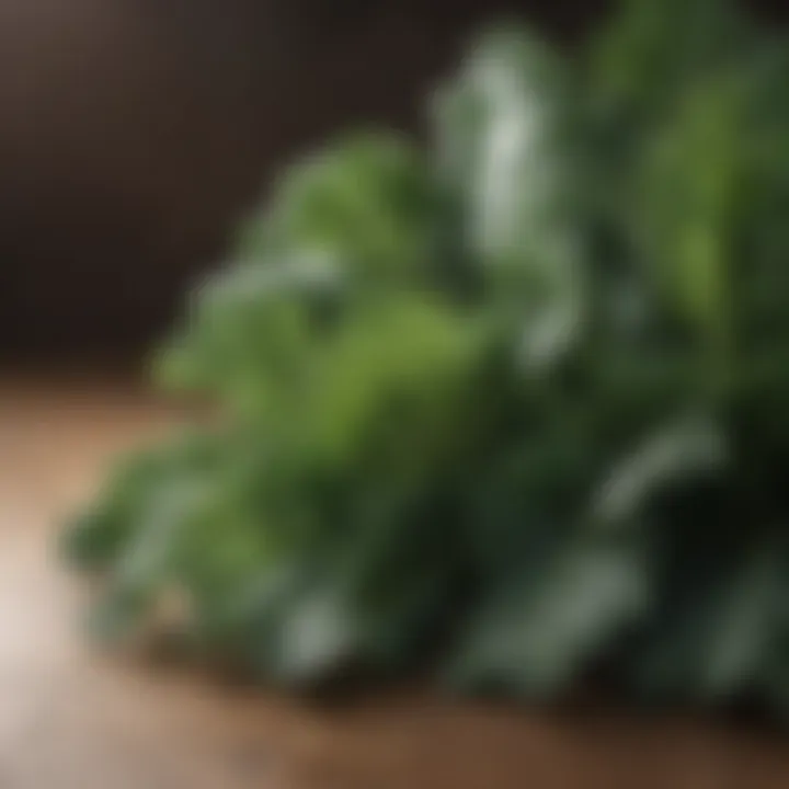 Close-up of crisp kale leaves in natural light