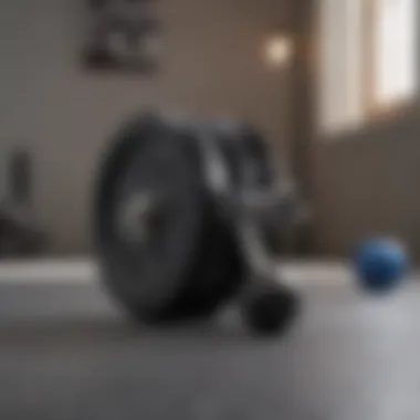 Adjustable dumbbell plates in a minimalist workout space