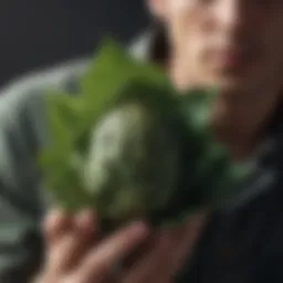 Artichoke Leaf Extract - Vitamins for Erectile Dysfunction