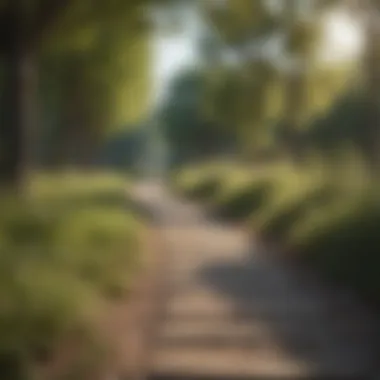 Tranquil Path for Weight Loss Walking Trail in Serene Nature