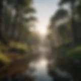 A serene landscape promoting relaxation